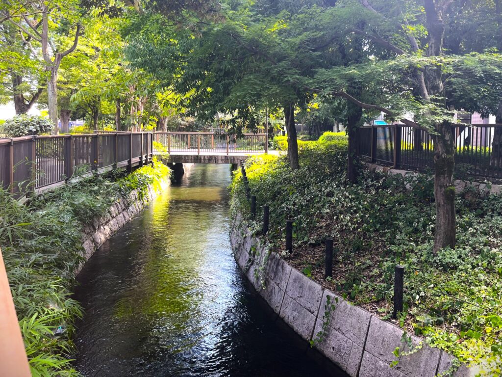 JR倉敷駅から徒歩数分の位置にある「倉敷みらい公園」の散歩道